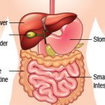 লিভার ক্যান্সার
